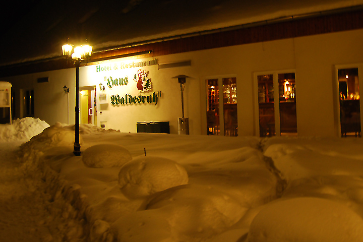 Hotel Haus Waldesruh Winter